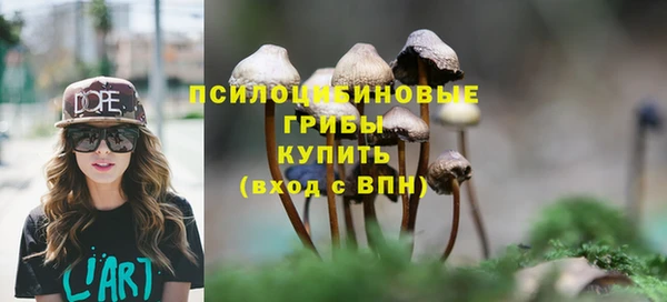 спайс Абинск