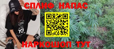 Альфа ПВП Новокубанск