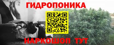 Альфа ПВП Новокубанск