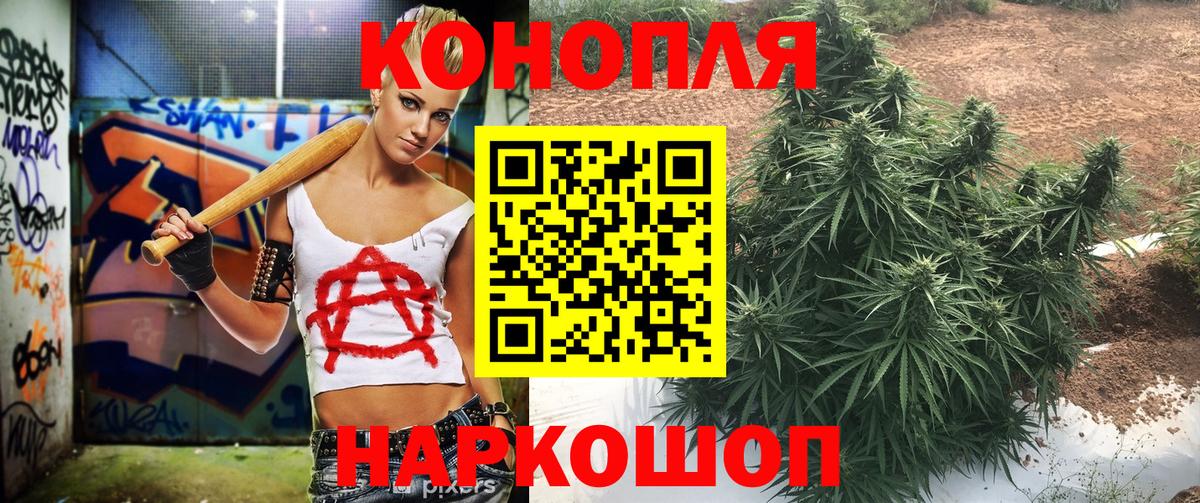 Конопля сатива  Каннабис семена  Бошки Шишки сатива  Вход с VPN  Новочебоксарск 